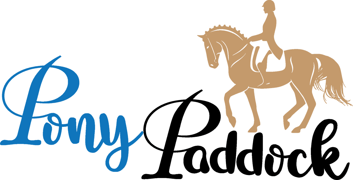 Pony Paddock at Dragon's Lair